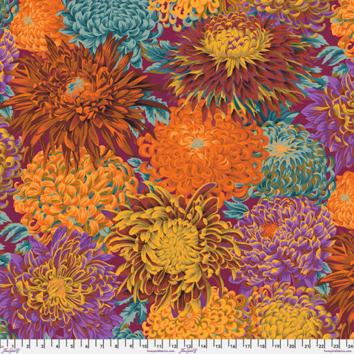 Japanese Chrysanthemum - PWPJ041.AUTUM