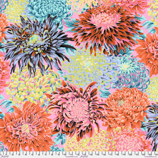 Japanese Chrysanthemum - PWPJ041.CONTR