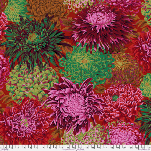Japanese Chrysanthemum - PWPJ041.SCARL