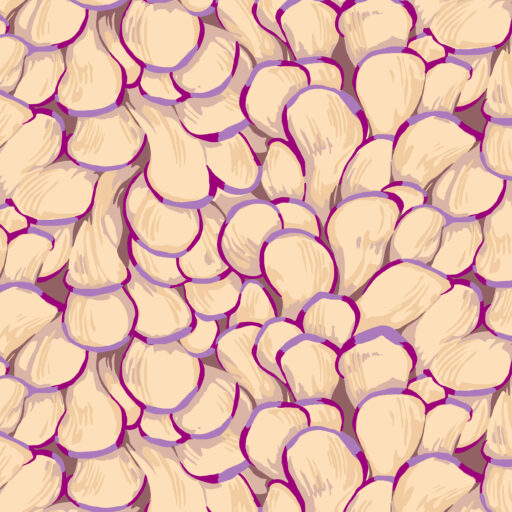 Oyster Mushroom - Light - PWMN068.LIGHT