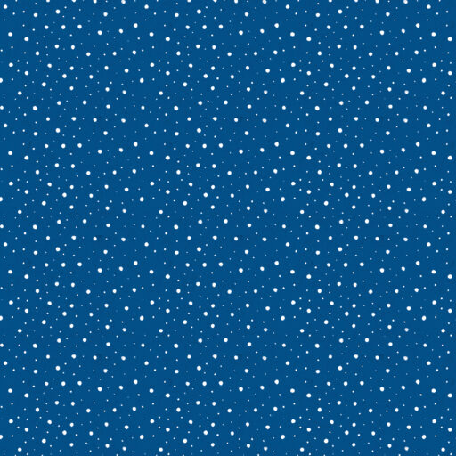 Snowfall - PWMY040.BLUE