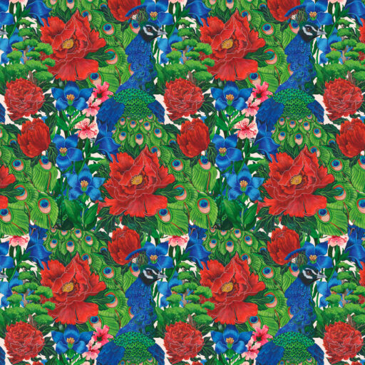 Peacock  Blue - PWMM014.BLUE