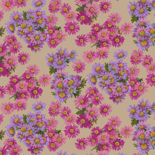 Asters  Fuchsia - PWMN091.FUCHSIA