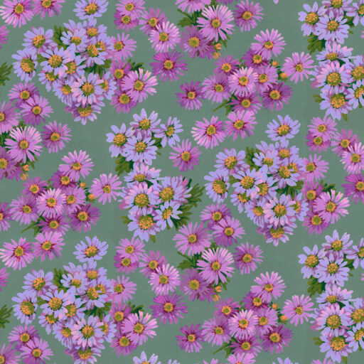 Asters  Purple - PWMN091.PURPLE