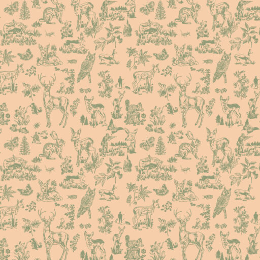 Bambi  Coral - PWNL061.CORAL