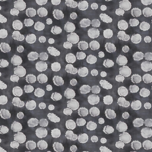 Gray Ink  Charcoal - PWSS062.CHARCOAL