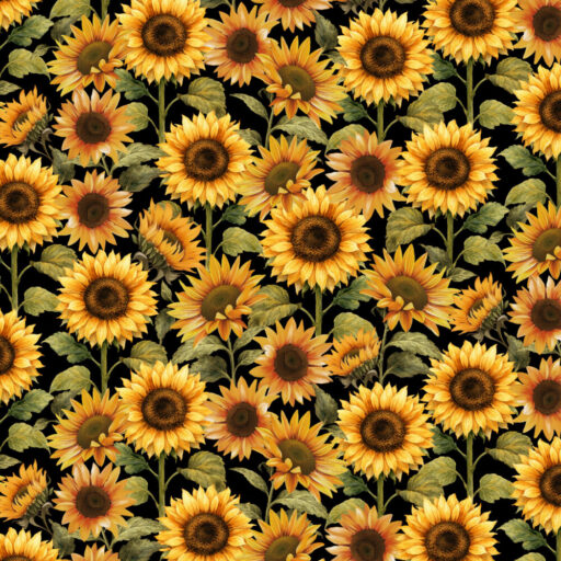 Sunflowers - Black Gold - 1589-93