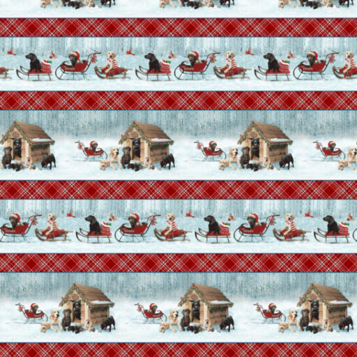 Border Stripe - Light Blue/Red - 1732-18