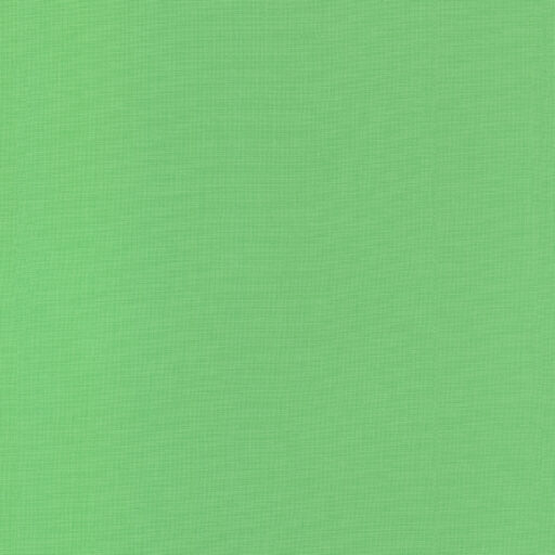 001.1293 PISTACHIO