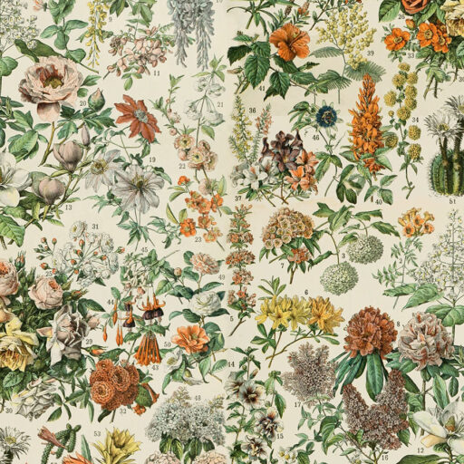 Botanical - Orange - PWTH237.ORANGE
