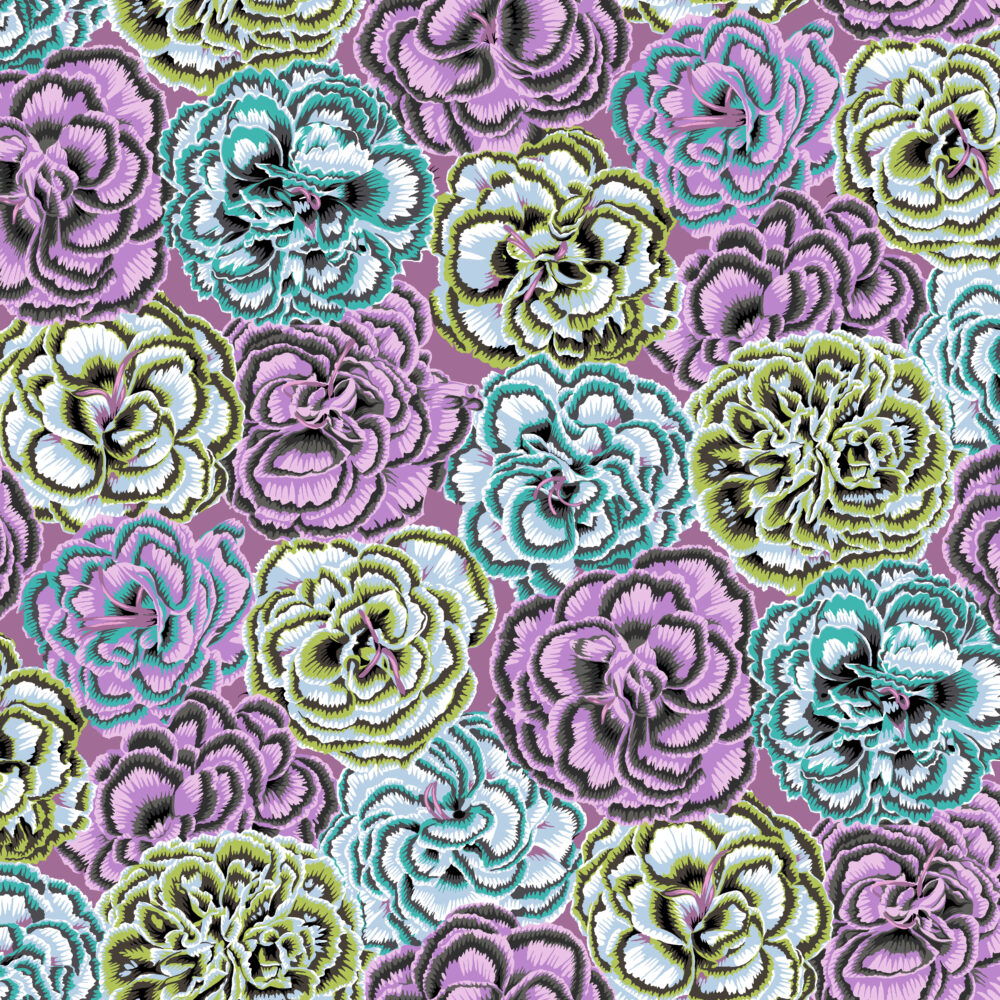 Picotee Carnations - PWPJ133.CONTRAST