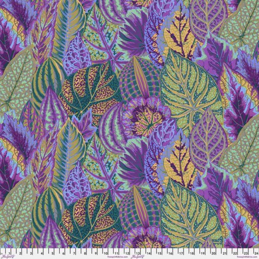Coleus - PWPJ030.LAVEN