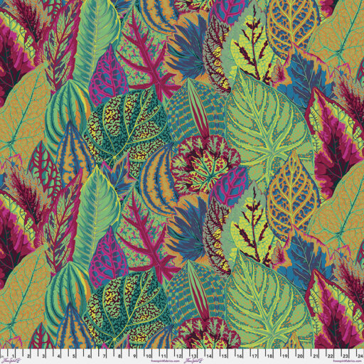 Coleus - PWPJ030.MOSSX