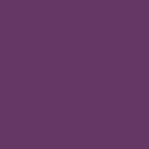 Tanzanite - CSFSESS.TANZANITE