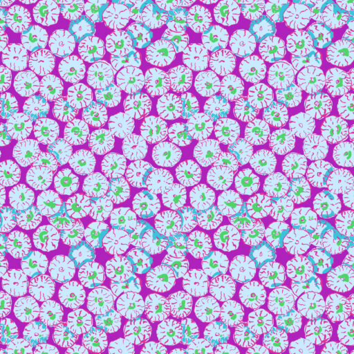 Sand Dollar - PWBM031.PURPLE