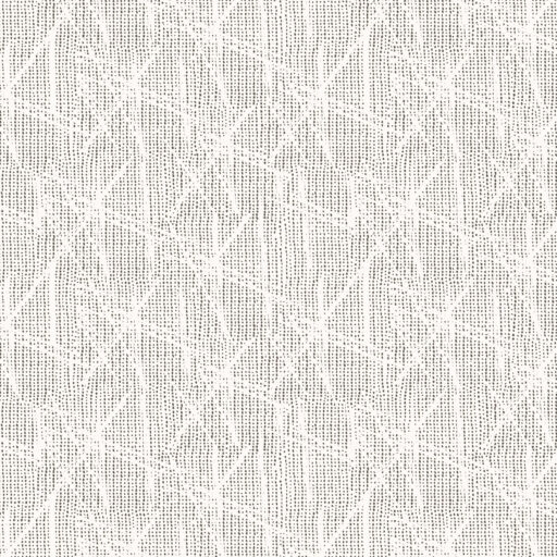 Spotted - PWSE046.PAPER