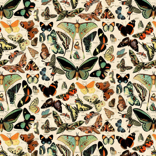 Teal Butterflies - CCTH027.TEAL