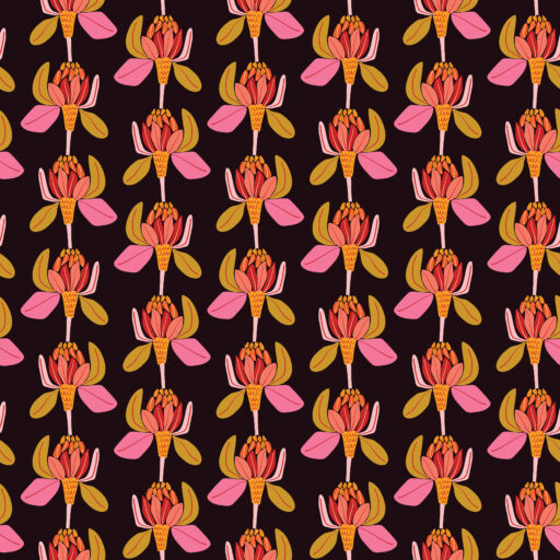 Protea Majestica Licorice - PWKI028.LICORICE