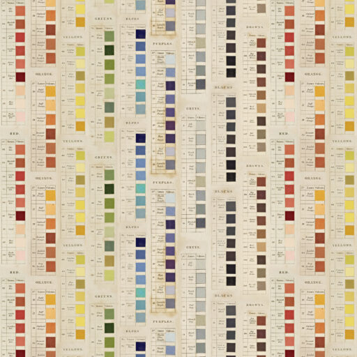 Multi Palettes Multi - PWTH328.CMULTI
