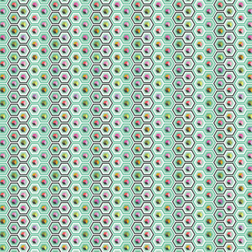 Hex Box - PWTP280.SWEETMINT