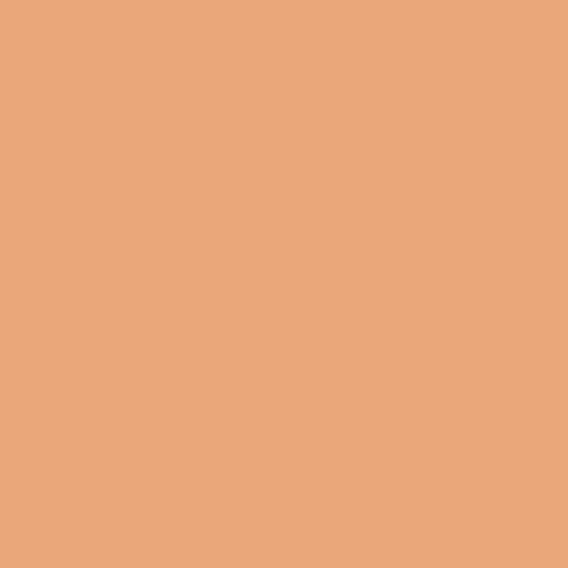 *Ecco Cotton - EC-256 Apricot
