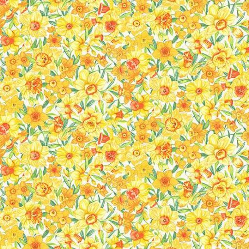 Daffodil - Cream - 270-Q