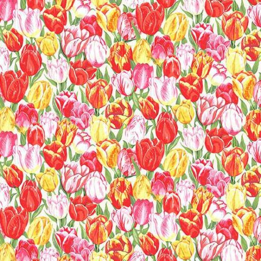 Tulip - Cream - 274-Q