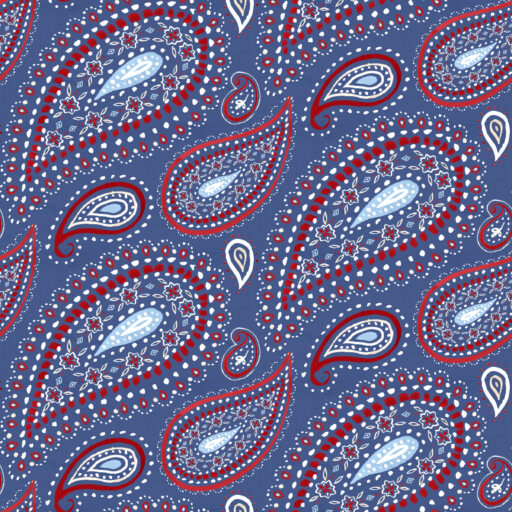 Big Paisley - Denim Multi - W170-007-775