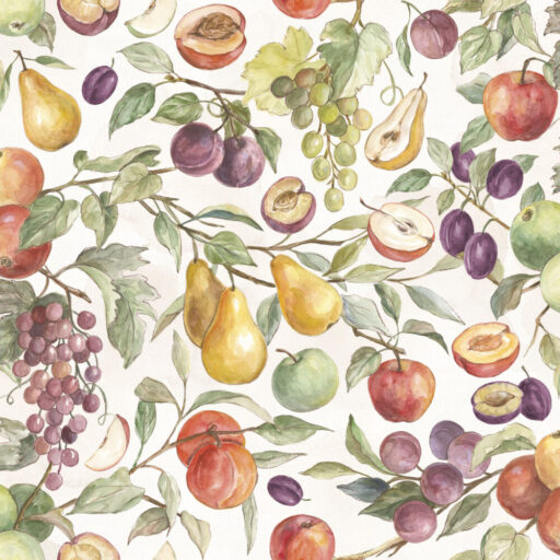 Packed Fruit - Multi - W205-003-186