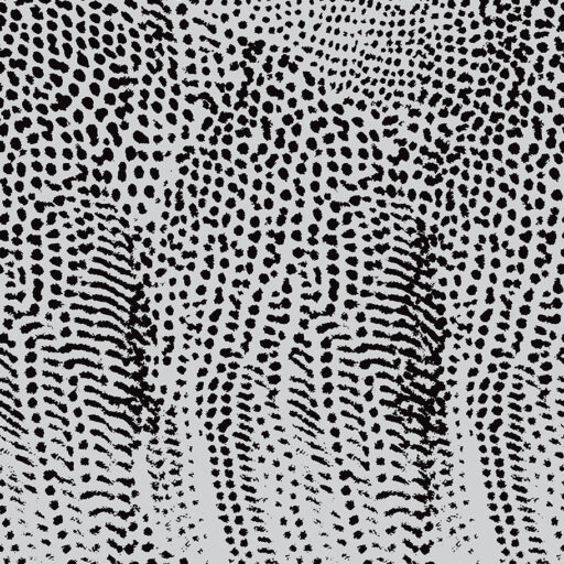 Guinea Dots - Lt Gray - PWAJ007-LTGRAY