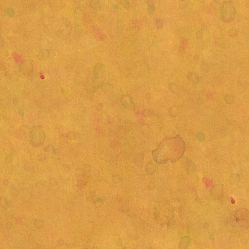 Fruit Juice - Mandarin - PWDB080-MANDARIN