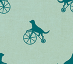 Free Wheeling - Turquoise - PWSF011-TURQUOISE