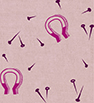 The Lucky Print - Pink - PWSF016-PINK