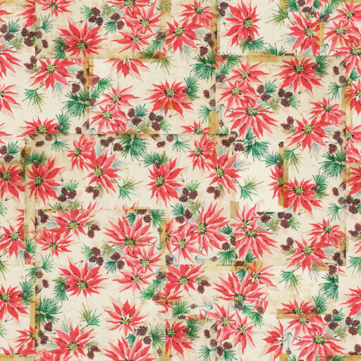 Giftwrap - Multi - PWTH344-MULTI