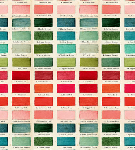 Swatches - Multi - PWTH346-MULTI